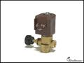 Steam Solenoid Valve with FLOW Control